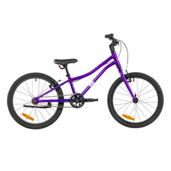 Велосипед NOVATRACK 20" PHANTOMGRL, алюминий, фиолетовый,  защита цепи, тормоз V-Brake