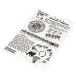 Развивающие игры Bondibon «ЗВЕРИНЫЙ ПОЕДИНОК»  , BOX